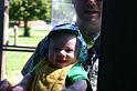 Picture 7643
